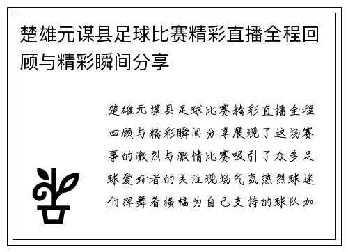 楚雄元谋县足球比赛精彩直播全程回顾与精彩瞬间分享